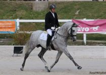 W DESDEN MATER, DE MATER CHRISTI, PLATA EN SEMENTALES DE 5 Y 6 A Y SUBCAMPEON DLE CONCURSO, MONTA DAVID RESINO (Copiar)